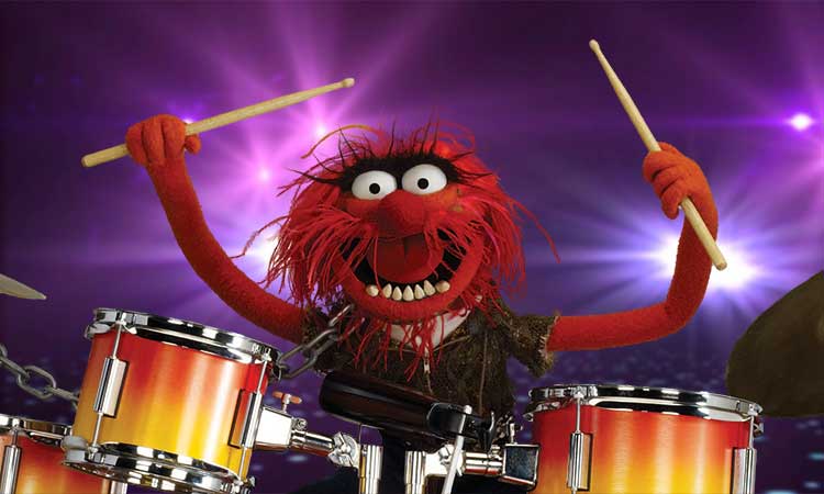 drummers-animal.jpg