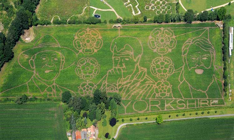 amazing maze rochester ny amazing maze rochester ny
