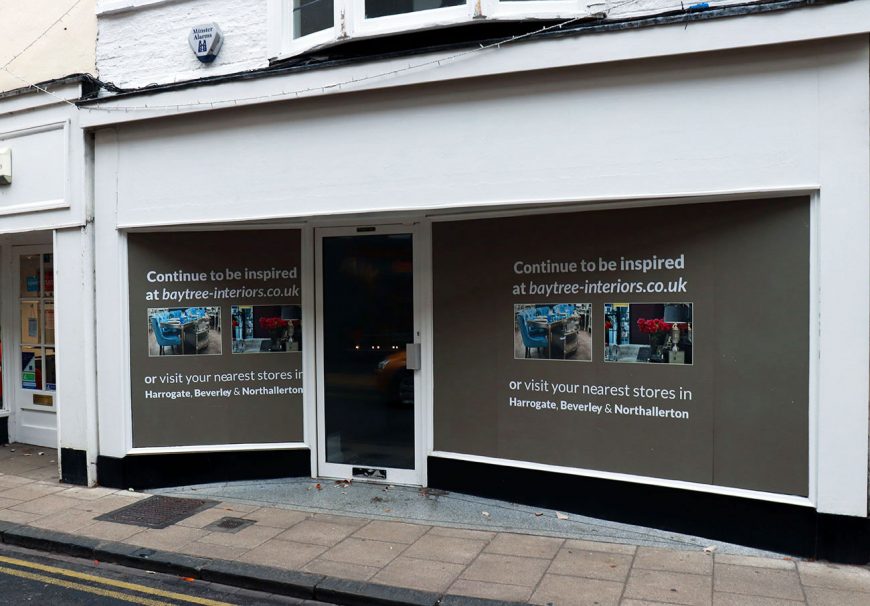 York to get its first cat caf with three floors and 12 York to get its first cat caf with three floors and 12