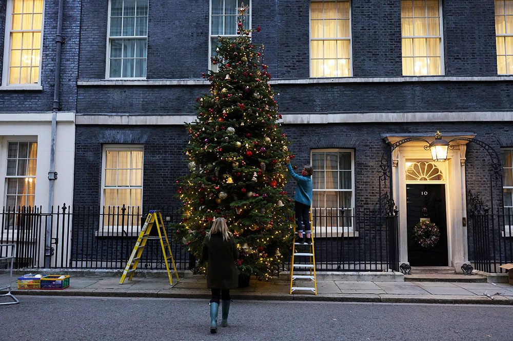 Video: York Christmas tree lights up Downing Street | YorkMix